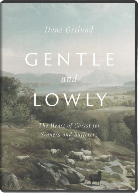 Gentle and Lowly: Video Study