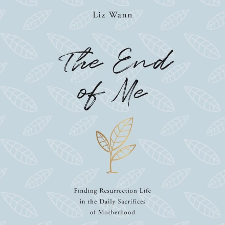 The End of Me MP3 Audiobook