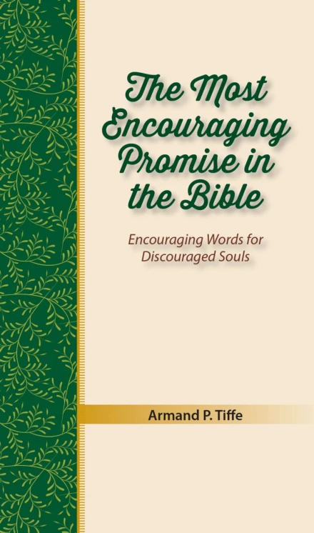 The Most Encouraging Promise in the Bible